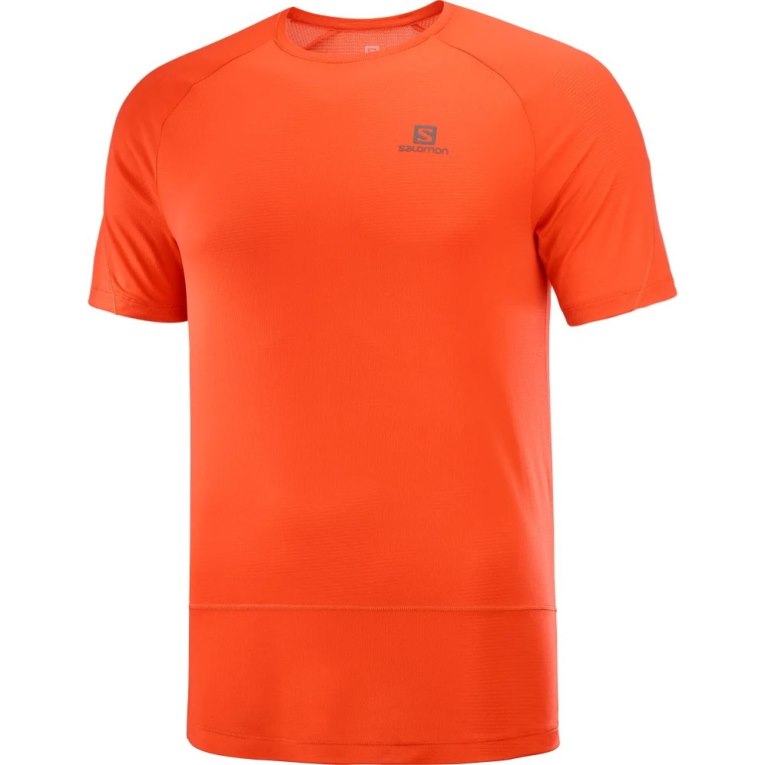 Camiseta Salomon Cross Run Curta Sleeve Masculino Laranja | PT R92714